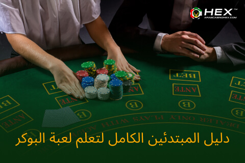 beginners guide poker