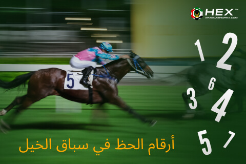 أرقام الحظ في سباق الخيل