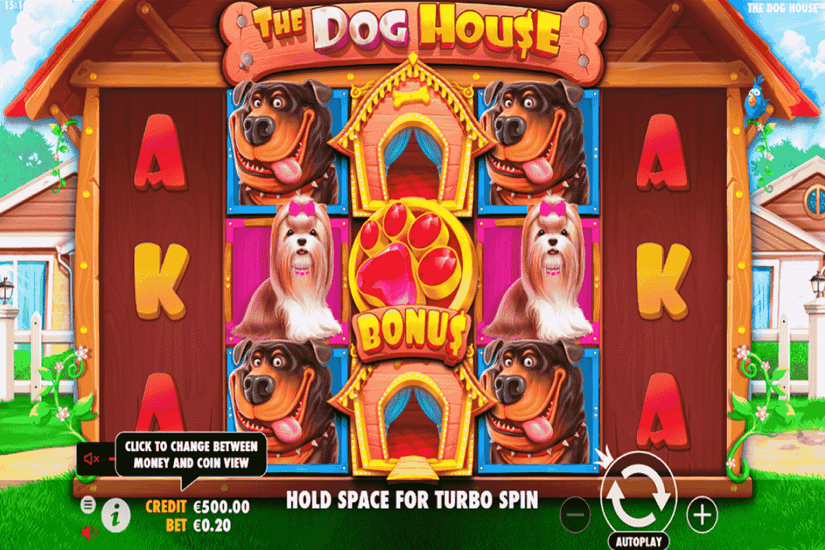 the dog house pragmatic screenshot 